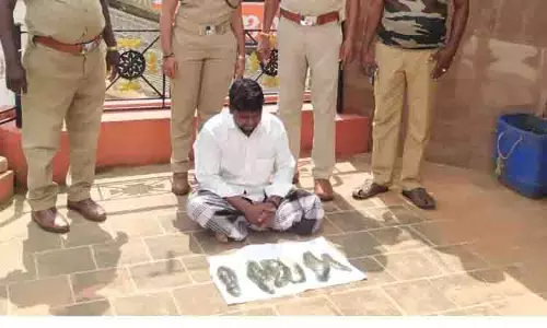 கடல் அட்டைகளை கடத்தியவர் கைது