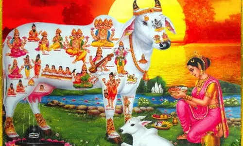 மூவலூர் மார்க்க சகாயசாமி கோவிலில் கோபூஜை