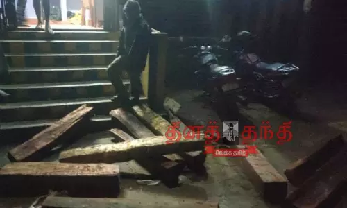 மணிமுத்தாறு வனப்பகுதியில் இருந்து மரத்துண்டு கடத்தியவருக்கு அபராதம் மணிமுத்தாறு வனப்பகுதியில் இருந்து மரத்துண்டு கடத்தியவருக்கு அபராதம்