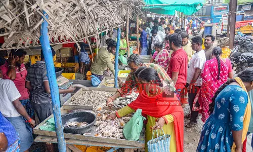 தஞ்சை மீன்மார்க்கெட்டில் குவிந்த மக்கள் தஞ்சை மீன்மார்க்கெட்டில் குவிந்த மக்கள்