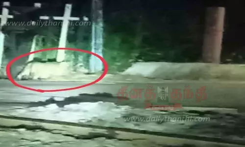 கொடுமுடி அருகே  ரெயில்வே கேட்டில் மர்ம விலங்கு நடமாட்டம்