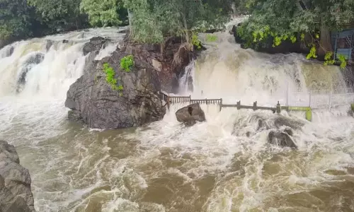 ஒகேனக்கல்லுக்கு நீர்வரத்து 14 ஆயிரம் கனஅடியாக சரிவு ஒகேனக்கல்லுக்கு நீர்வரத்து 14 ஆயிரம் கனஅடியாக சரிவு