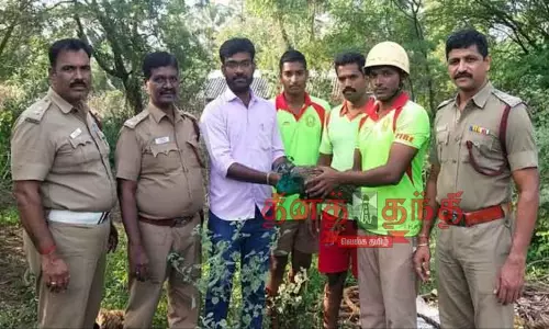 கிணத்துக்கடவு அருகே கிணற்றுக்குள் தவறி விழுந்த மயில் மீட்பு