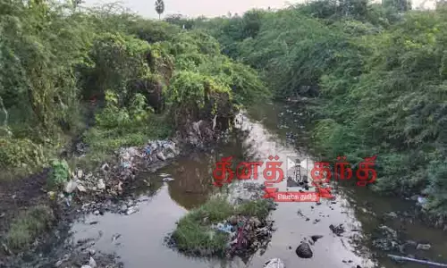 நீர்நிலைகளை சீரமைக்க நடவடிக்கை எடுக்கப்படுமா? நீர்நிலைகளை சீரமைக்க நடவடிக்கை எடுக்கப்படுமா?