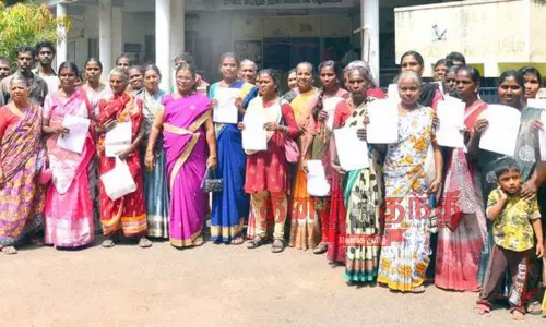 இலவச வீட்டு மனை கேட்டு கலெக்டர் அலுவலகத்தில் பொதுமக்கள் மனு இலவச வீட்டு மனை கேட்டு கலெக்டர் அலுவலகத்தில் பொதுமக்கள் மனு