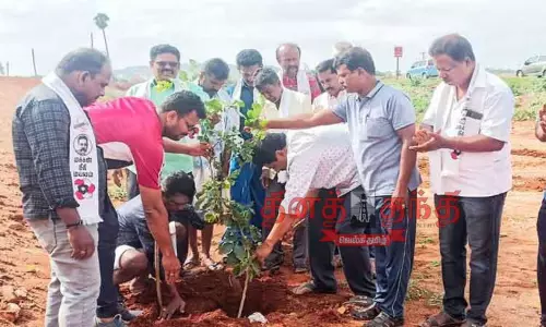 மரக்கன்று நடும் விழா