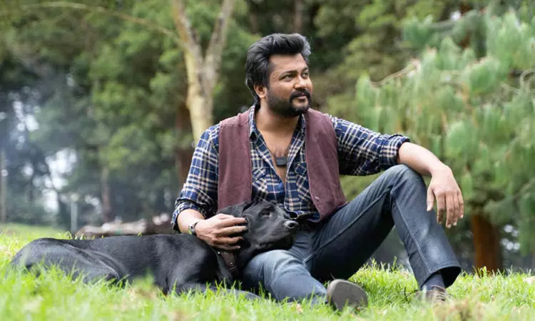 இந்தியன் 2 படக்குழுவுடன் பிறந்தநாள் கொண்டாடிய பாபி சிம்ஹா! இந்தியன் 2 படக்குழுவுடன் பிறந்தநாள் கொண்டாடிய பாபி சிம்ஹா!