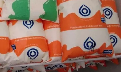 ஆரஞ்சு பால் பாக்கெட் விலை உயர்வால் பச்சை நிற பால் பாக்கெட்டிற்கு மாறிய மக்கள்...! ஆரஞ்சு பால் பாக்கெட் விலை உயர்வால் பச்சை நிற பால் பாக்கெட்டிற்கு மாறிய மக்கள்...!