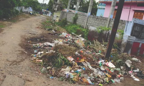 வீதிகளில் கொட்டப்படும் குப்பை