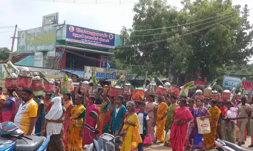 பொங்கல் விழா பொங்கல் விழா