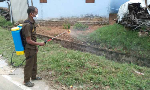 எலி காய்ச்சலுக்கு கர்ப்பிணி பலி:நோய் தடுப்பு நடவடிக்கைகள் தீவிரம்- பொதுமக்களுக்கு விழிப்புணர்வும் ஏற்படுத்தப்பட்டது எலி காய்ச்சலுக்கு கர்ப்பிணி பலி:நோய் தடுப்பு நடவடிக்கைகள் தீவிரம்- பொதுமக்களுக்கு விழிப்புணர்வும் ஏற்படுத்தப்பட்டது