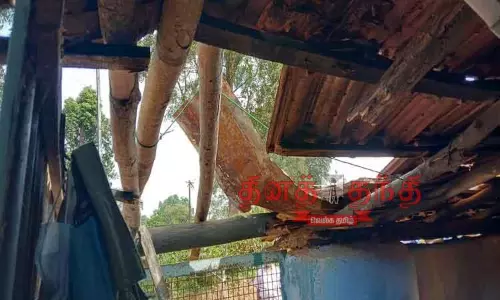 வால்பாறை அருகேவீட்டின் மேற்கூரையை உடைத்து காட்டு யானை அட்டகாசம்-ஓடு விழுந்து சிறுவன் படுகாயம் வால்பாறை அருகேவீட்டின் மேற்கூரையை உடைத்து காட்டு யானை அட்டகாசம்-ஓடு விழுந்து சிறுவன் படுகாயம்