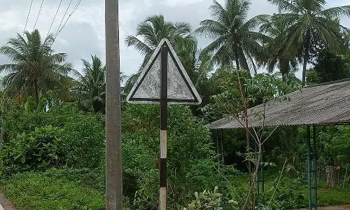 தினத்தந்தி செய்தி எதிரொலி: வடபாதிமங்கலத்தில்  புதிய மின் கம்பம் நடப்பட்டது