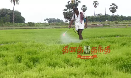 முப்போகம் விளைந்த பூமி ஒருபோகத்துக்கே தள்ளாடுவது ஏன்?:  தூத்துக்குடி மாவட்ட விவசாயிகள் கருத்து