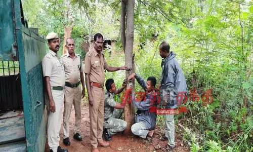 மீண்டும் கரடி நடமாட்டமா? வனத்துறையினர் ரோந்து சென்று கண்காணிப்பு மீண்டும் கரடி நடமாட்டமா? வனத்துறையினர் ரோந்து சென்று கண்காணிப்பு