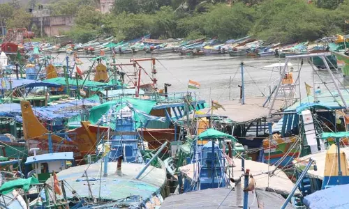 குறைந்த காற்றழுத்த தாழ்வு நிலை எதிரொலி கடலூர் மீனவர்கள் மீன்பிடிக்க செல்லவில்லை குறைந்த காற்றழுத்த தாழ்வு நிலை எதிரொலி கடலூர் மீனவர்கள் மீன்பிடிக்க செல்லவில்லை