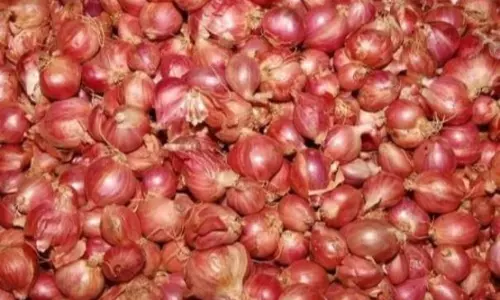 சின்ன வெங்காயம் விலை கிடுகிடு உயர்வு