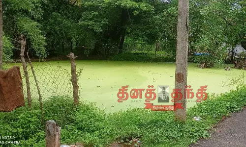 துர்நாற்றம் வீசும் கொல்லன் குளத்தை தூர்வாரி சுத்தம் செய்ய வேண்டும்