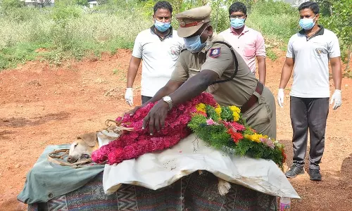 வெடிகுண்டு தடுப்பு பிரிவு மோப்பநாய் உயிரிழப்பு வெடிகுண்டு தடுப்பு பிரிவு மோப்பநாய் உயிரிழப்பு