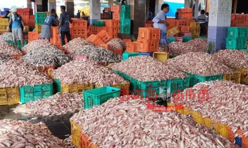 விசைப்படகு மீனவர்கள் வலையில் சிக்கிய கிளி, நாக்கண்டம் மீன்கள்