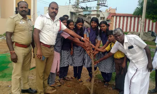 பரமக்குடியில் மரக்கன்றுகள் நடும் விழா பரமக்குடியில் மரக்கன்றுகள் நடும் விழா