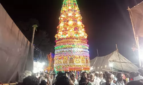 காட்டுபாவா பள்ளிவாசலில் சந்தனக்கூடு விழா காட்டுபாவா பள்ளிவாசலில் சந்தனக்கூடு விழா