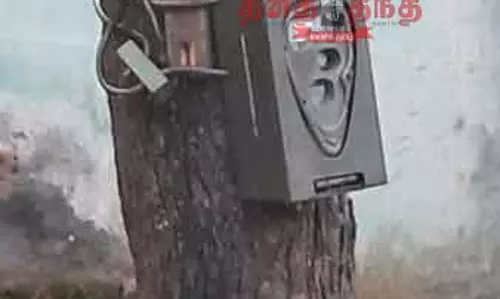 சிறுத்தை நடமாட்டத்தால் பொதுமக்கள் பீதி