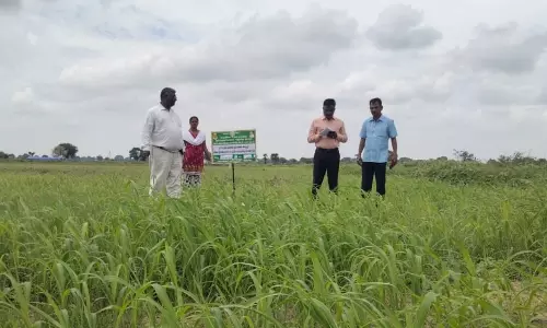 வேளாண்மை திட்ட பணிகள் ஆய்வு