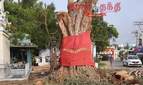 குருவரெட்டியூரில் பழமையான அரச மரம் வெட்டி அகற்றம்: நடவடிக்கை எடுக்க கோரி பொதுமக்கள் சாலை மறியல்