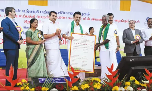 50 ஆயிரம் விவசாயிகளுக்கு இலவச மின் இணைப்பு வழங்கும் திட்டம்: முதல்-அமைச்சர் தொடங்கிவைத்தார் 50 ஆயிரம் விவசாயிகளுக்கு இலவச மின் இணைப்பு வழங்கும் திட்டம்: முதல்-அமைச்சர் தொடங்கிவைத்தார்