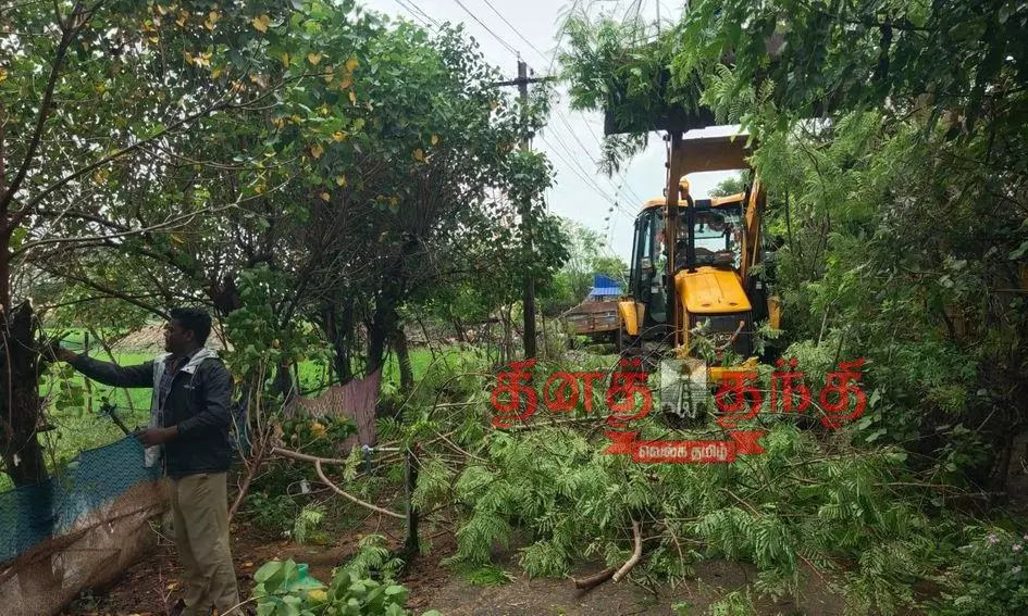 சாலையில் இடையூறாக உள்ள மரங்களை அகற்றும் பணி சாலையில் இடையூறாக உள்ள மரங்களை அகற்றும் பணி