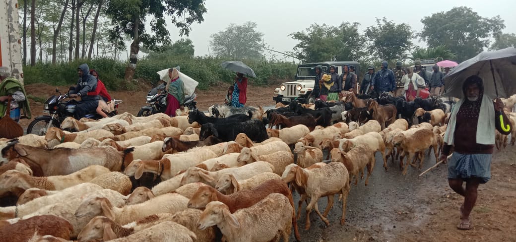 தேன்கனிக்கோட்டை அருகே கல் குவாரிகளுக்கு எதிர்ப்பு: ஆடு, மாடுகளுடன் மீண்டும் ஊரை காலி செய்த பொதுமக்கள்-போலீசார் குவிக்கப்பட்டதால் பரபரப்பு தேன்கனிக்கோட்டை அருகே கல் குவாரிகளுக்கு எதிர்ப்பு: ஆடு, மாடுகளுடன் மீண்டும் ஊரை காலி செய்த பொதுமக்கள்-போலீசார் குவிக்கப்பட்டதால் பரபரப்பு