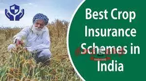 பயிர் காப்பீட்டு திட்டத்தில் காப்பீடு செய்ய 15-ந் தேதி கடைசிநாள்