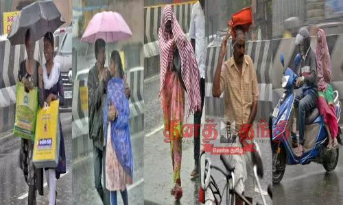 பொள்ளாச்சி பகுதியில் விடிய, விடிய பலத்த மழை