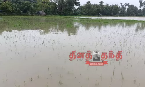 4,747 ஏக்கர் நெற்பயிர்கள் மழை நீரில் மூழ்கின