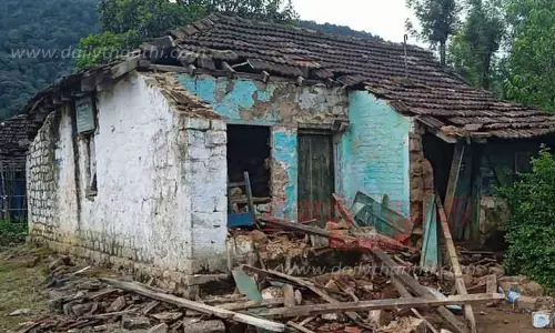 ரேஷன் கடையை சூறையாடிய காட்டுயானைகள்