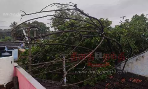 மரம் வேரோடு சாய்ந்து வீடு சேதம்