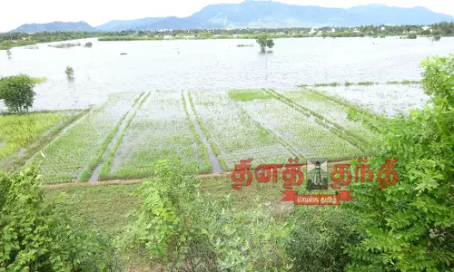 500 ஏக்கர் பயிர்கள் தண்ணீரில் மூழ்கின