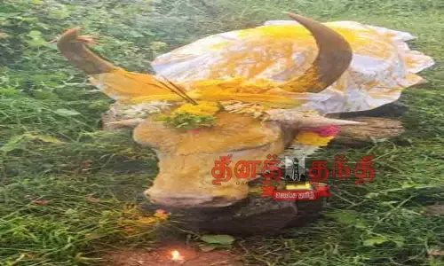 ஜல்லிக்கட்டு காளை இறப்பு