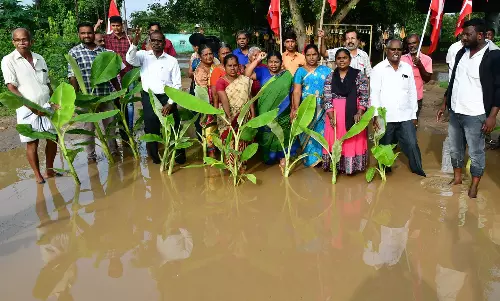 திண்டுக்கல்லில் சேதமடைந்த சாலையில் வாழைக்கன்று நட்டு போராட்டம் திண்டுக்கல்லில் சேதமடைந்த சாலையில் வாழைக்கன்று நட்டு போராட்டம்