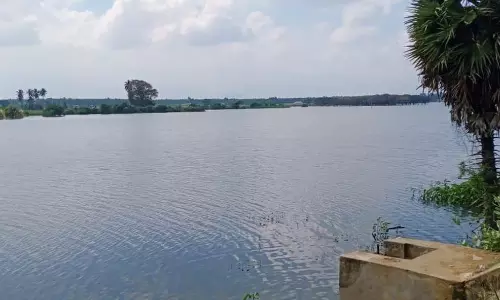 ஒட்டுக்குளத்திற்கு நீர் வரத்து அதிகரிப்பால் ராஜவாய்காலில் தண்ணீர் திறந்து விடப்பட்டுள்ளது ஒட்டுக்குளத்திற்கு நீர் வரத்து அதிகரிப்பால் ராஜவாய்காலில் தண்ணீர் திறந்து விடப்பட்டுள்ளது