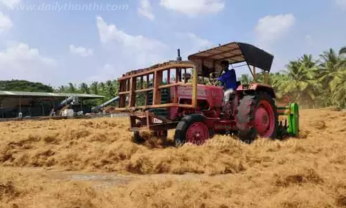 தென்னை நார் பொருட்களின் விலை வீழ்ச்சியால் தொழிற்சாலைகளை மூடும் அபாயம்