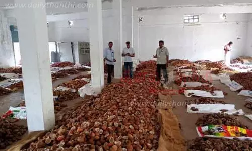 கொப்பரை தேங்காய் விலை அதிகரிப்பு