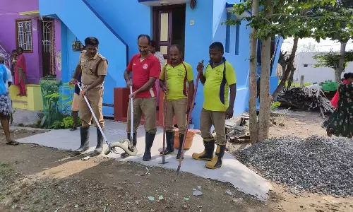 தொழிலாளி வீட்டிற்குள் புகுந்த பாம்பு