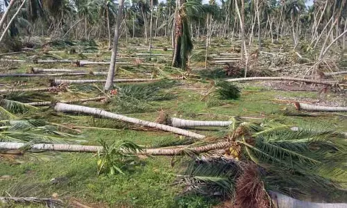 கஜா புயல் நினைவு தினம் இன்று...