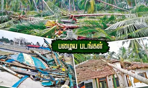 டெல்டாவின் வாழ்வாதாரத்தை வாரி சுருட்டிய  கஜா புயல் துயர நினைவலைகள்