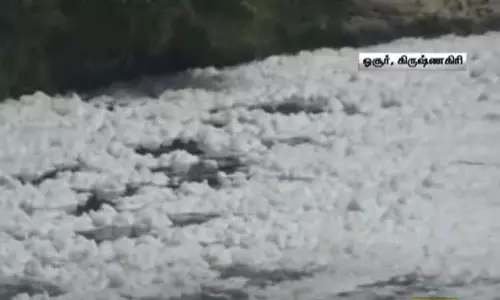 தென்பெண்ணை ஆற்றில் மிதந்து செல்லும் ரசாயண நுரை - விளைநிலங்களை பாதிக்கும் என விவசாயிகள் கவலை தென்பெண்ணை ஆற்றில் மிதந்து செல்லும் ரசாயண நுரை - விளைநிலங்களை பாதிக்கும் என விவசாயிகள் கவலை