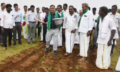 மரக்காணம், ஒலக்கூர் ஒன்றியத்தில்  வளர்ச்சி திட்ட பணிகளை மாவட்ட கண்காணிப்பு அலுவலர் நேரில் ஆய்வு