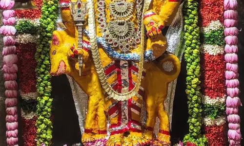 தேய்பிறை அஷ்டமியையொட்டி  கால பைரவருக்கு பைரவாஷ்டமி விழா