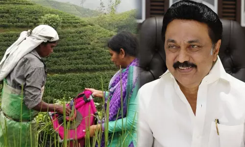 ஓய்வுபெற்ற தேயிலை தோட்ட தொழிலாளர்களுக்கு வீடு ஒதுக்கீடு - முதல்-அமைச்சர் மு.க.ஸ்டாலின் உத்தரவு